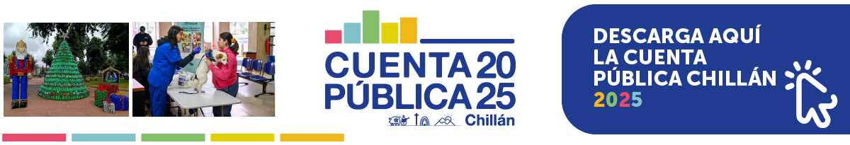 cuenta publica